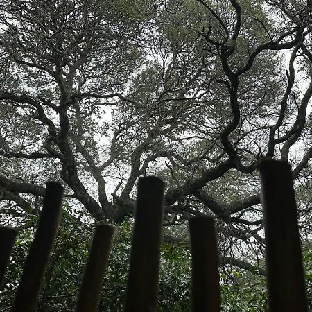 Lebombo Wattle Cottages Hluhluwe Kültér fotó