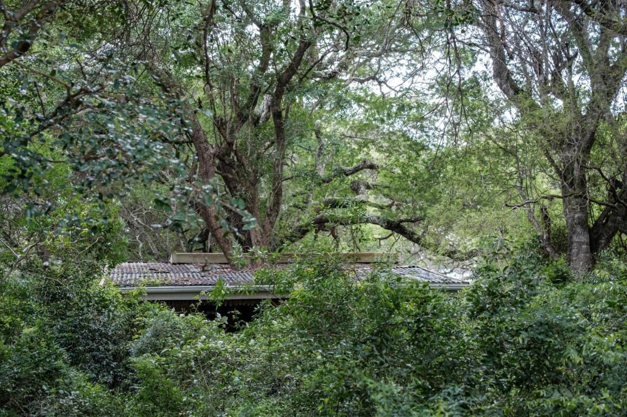 Lebombo Wattle Cottages Hluhluwe Kültér fotó