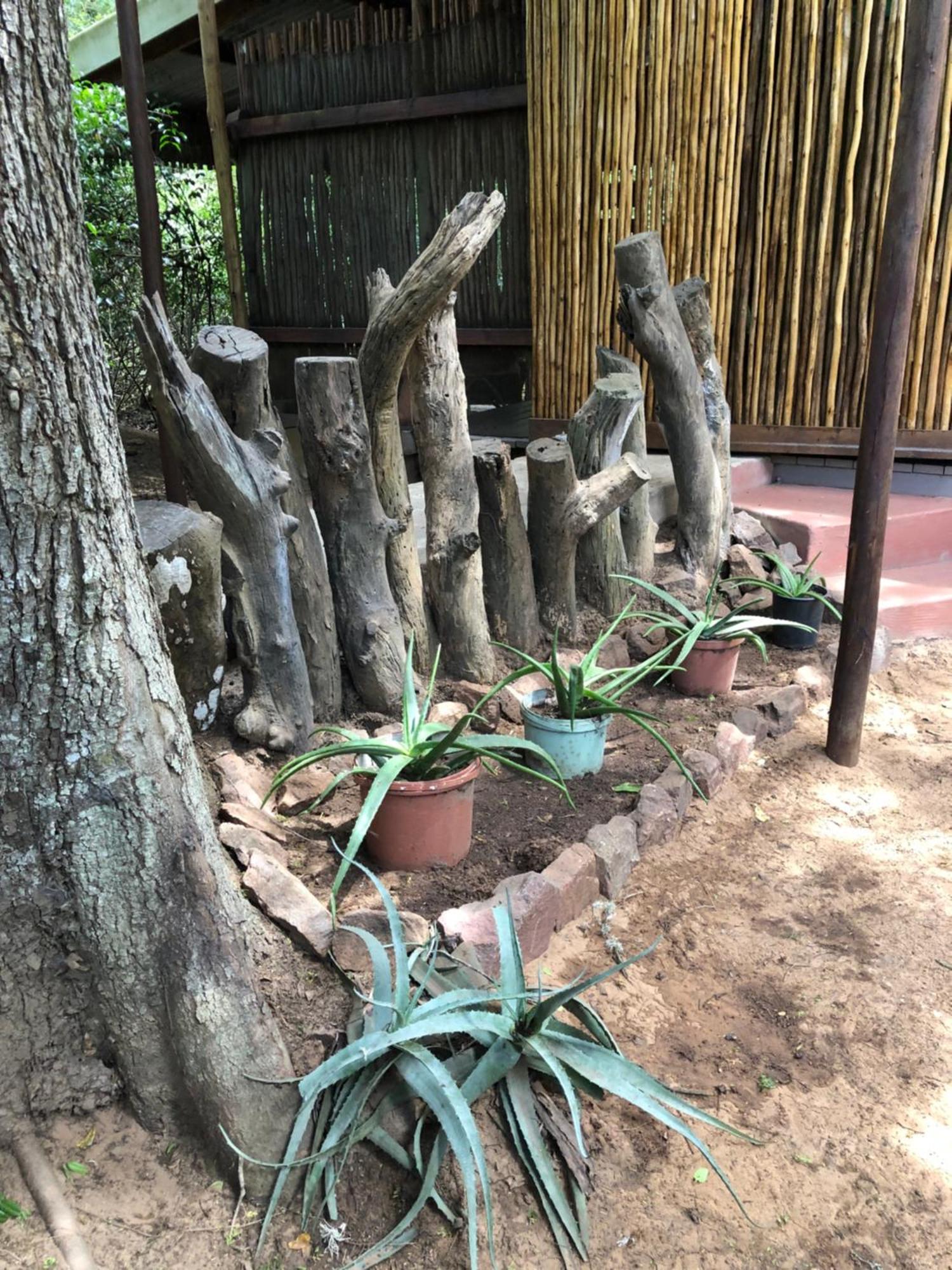 Lebombo Wattle Cottages Hluhluwe Kültér fotó